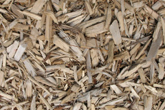 biomass boilers Hengoed